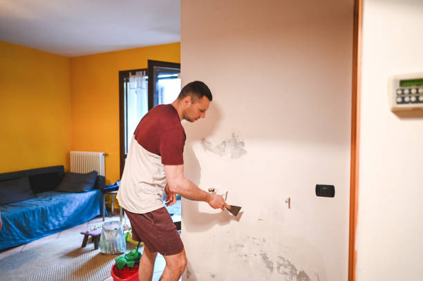 Best Industrial Mold Remediation in Delmar, MD